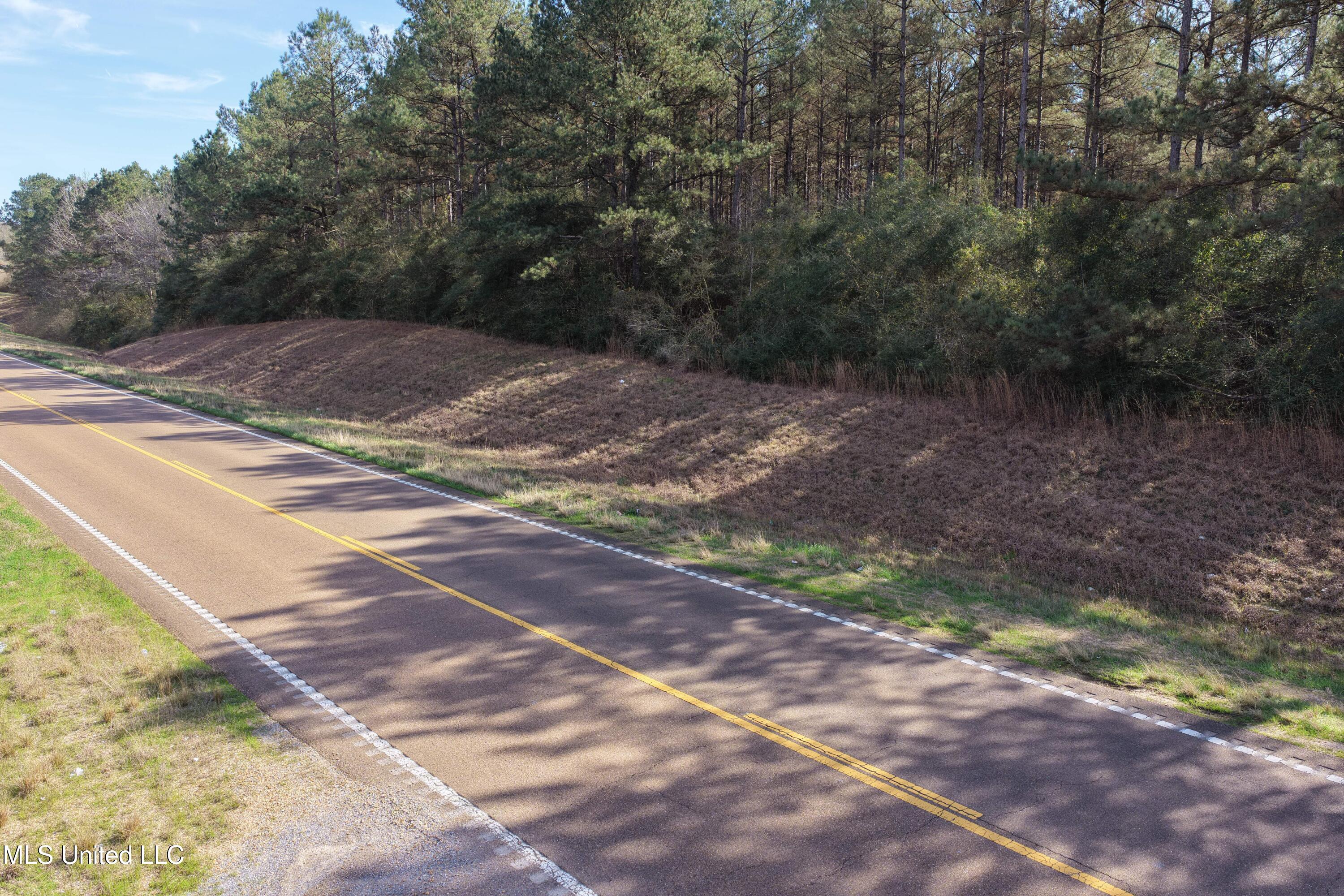 0 Northeast Ne Highway Summit, MS 39666 - Photo 24 of 29 Summit (24)