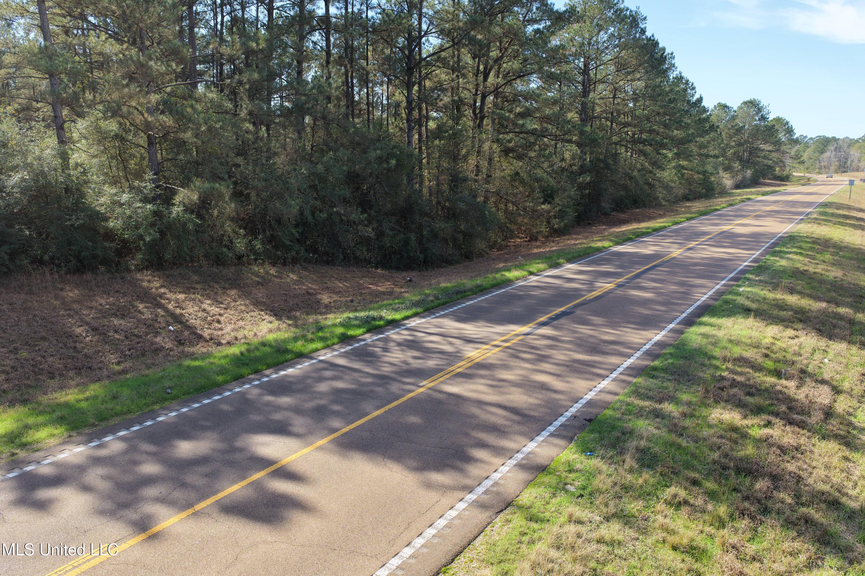 0 Northeast Ne Highway Summit, MS 39666 - Photo 25 of 29 Summit (25)