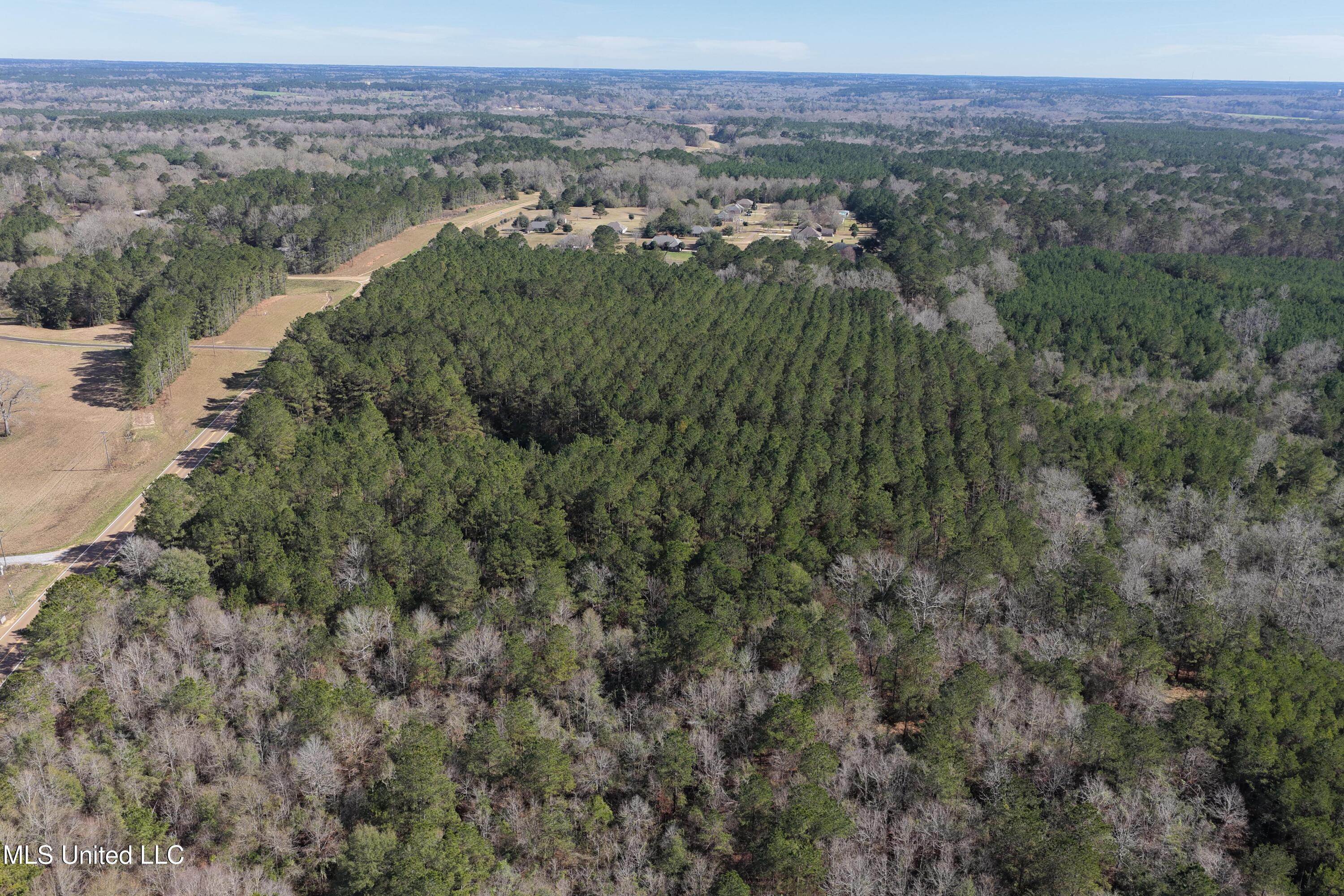 0 Northeast Ne Highway Summit, MS 39666 - Photo 6 of 29 Summit (6)