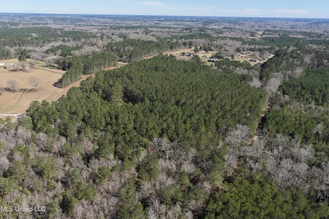 $140,000 | 0 Northeast Ne Highway, Summit, MS 39666