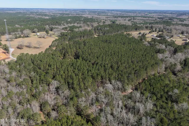 $140,000 | 0 Northeast Ne Highway, Summit, MS 39666