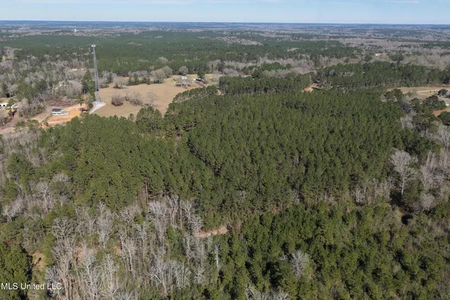 $140,000 | 0 Northeast Ne Highway, Summit, MS 39666