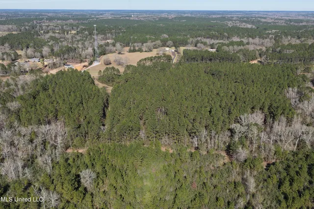 $140,000 | 0 Northeast Ne Highway, Summit, MS 39666