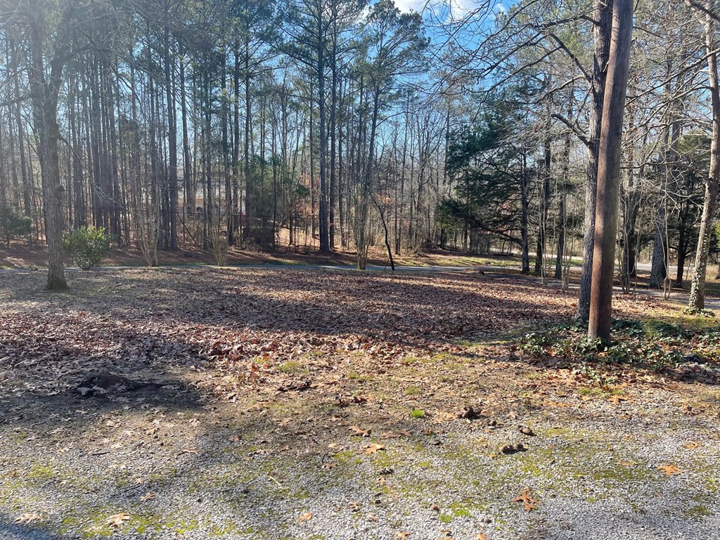 365 R R & J Street Chatsworth, GA 30705 - Photo 19 of 20 Gallery Image 19
