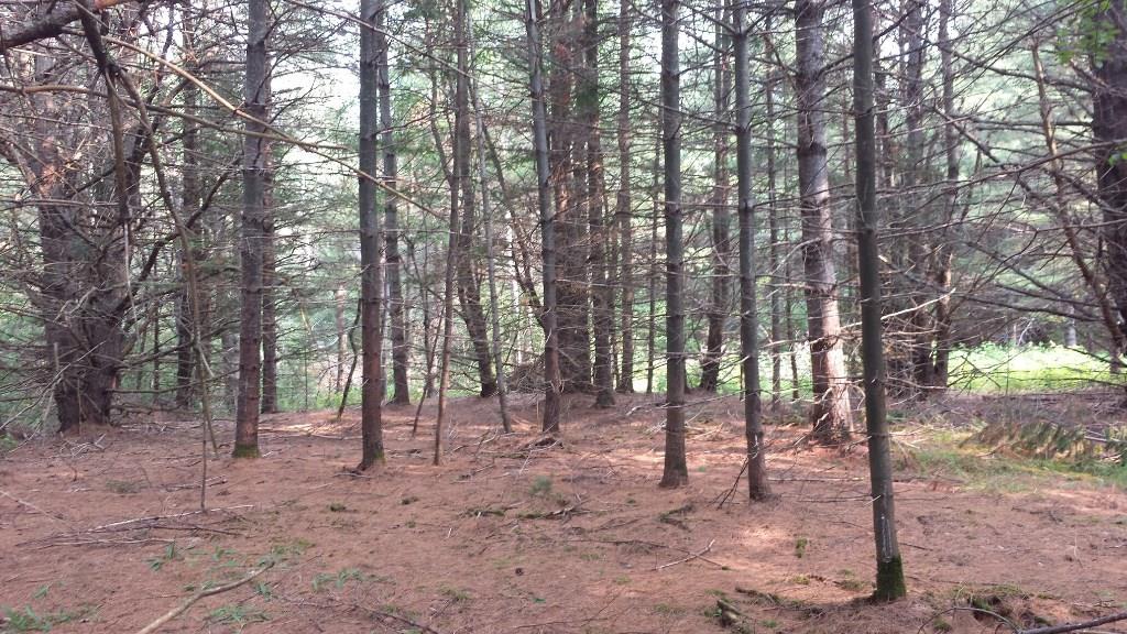 0 Swett Road, Unit LOT 4 Hampden, ME 04444 - Photo 13 of 13 Photo