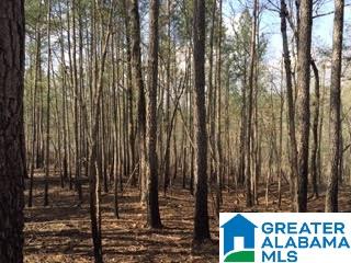 Pioneer Way, Unit 2 Sterrett, AL 35147 - Photo 16 of 24