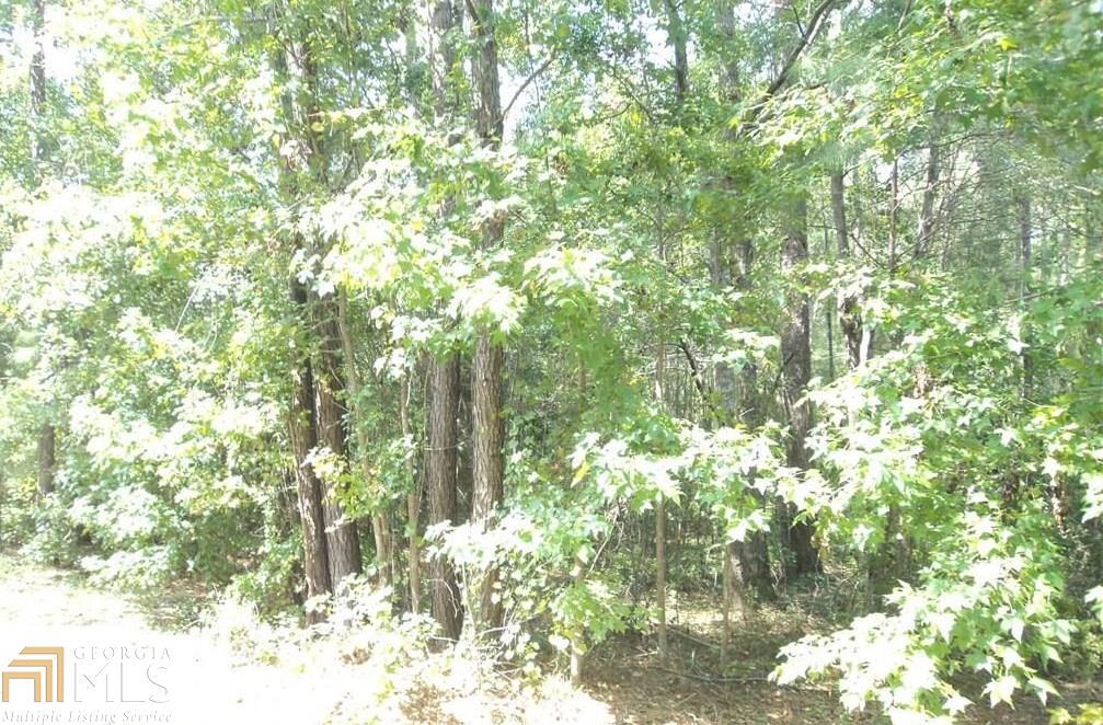 103 Red Bluff Run Rincon, GA 31326 - Photo 1 of 1