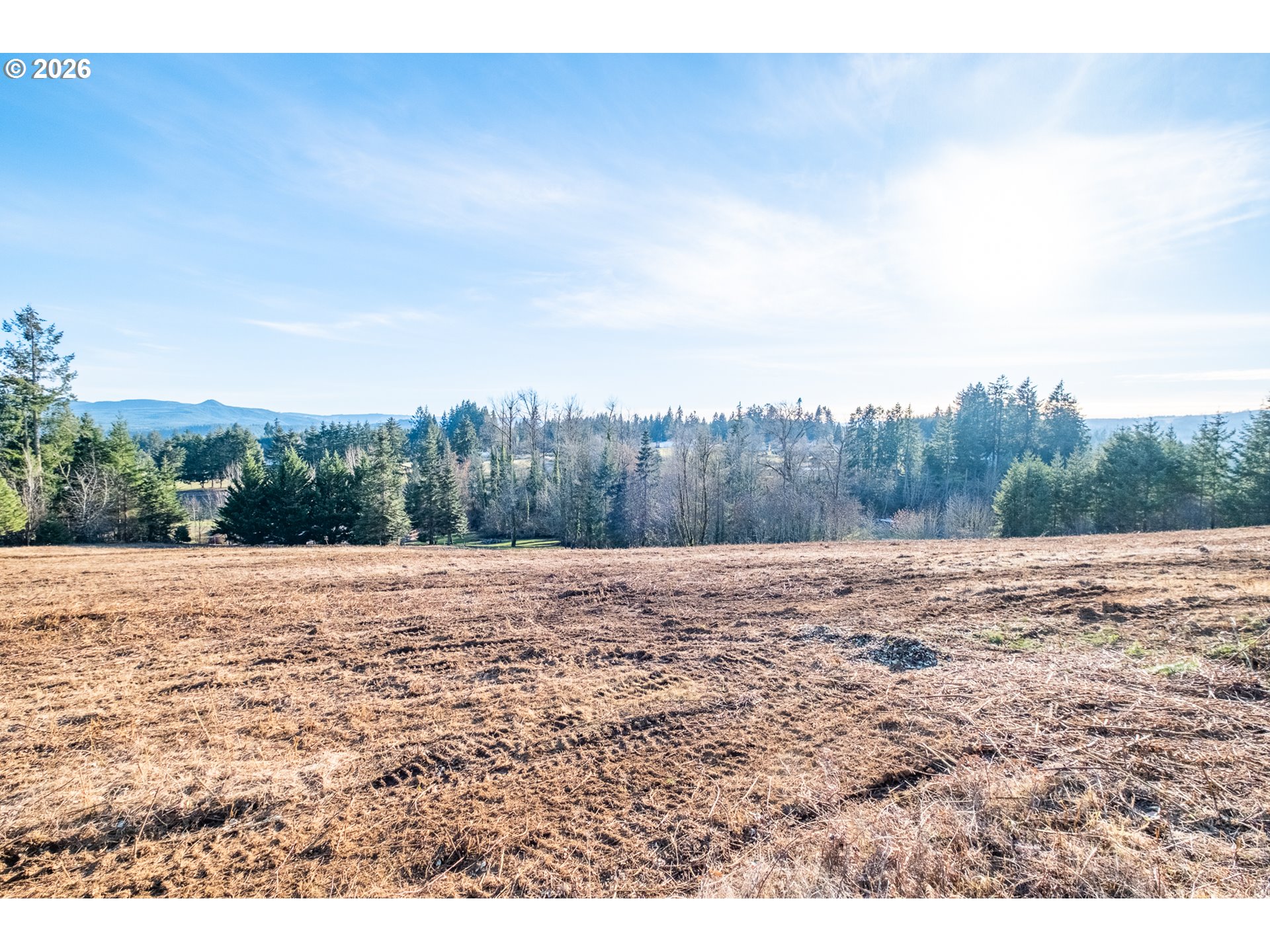 0 Tl 207) Ridgeview Lane Sweet Home, OR 97386 - Photo 12 of 16 a view of dirt field with trees in background