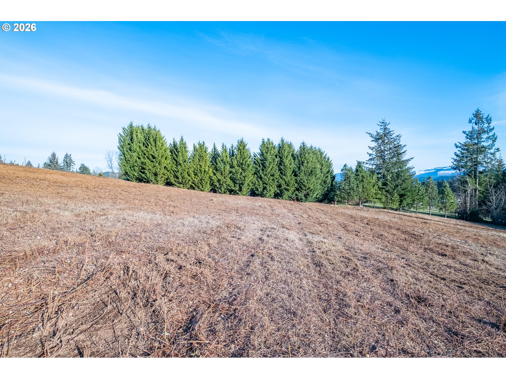 0 Tl 207) Ridgeview Lane Sweet Home, OR 97386 - Photo 14 of 16 a view of a dry yard with trees in the background