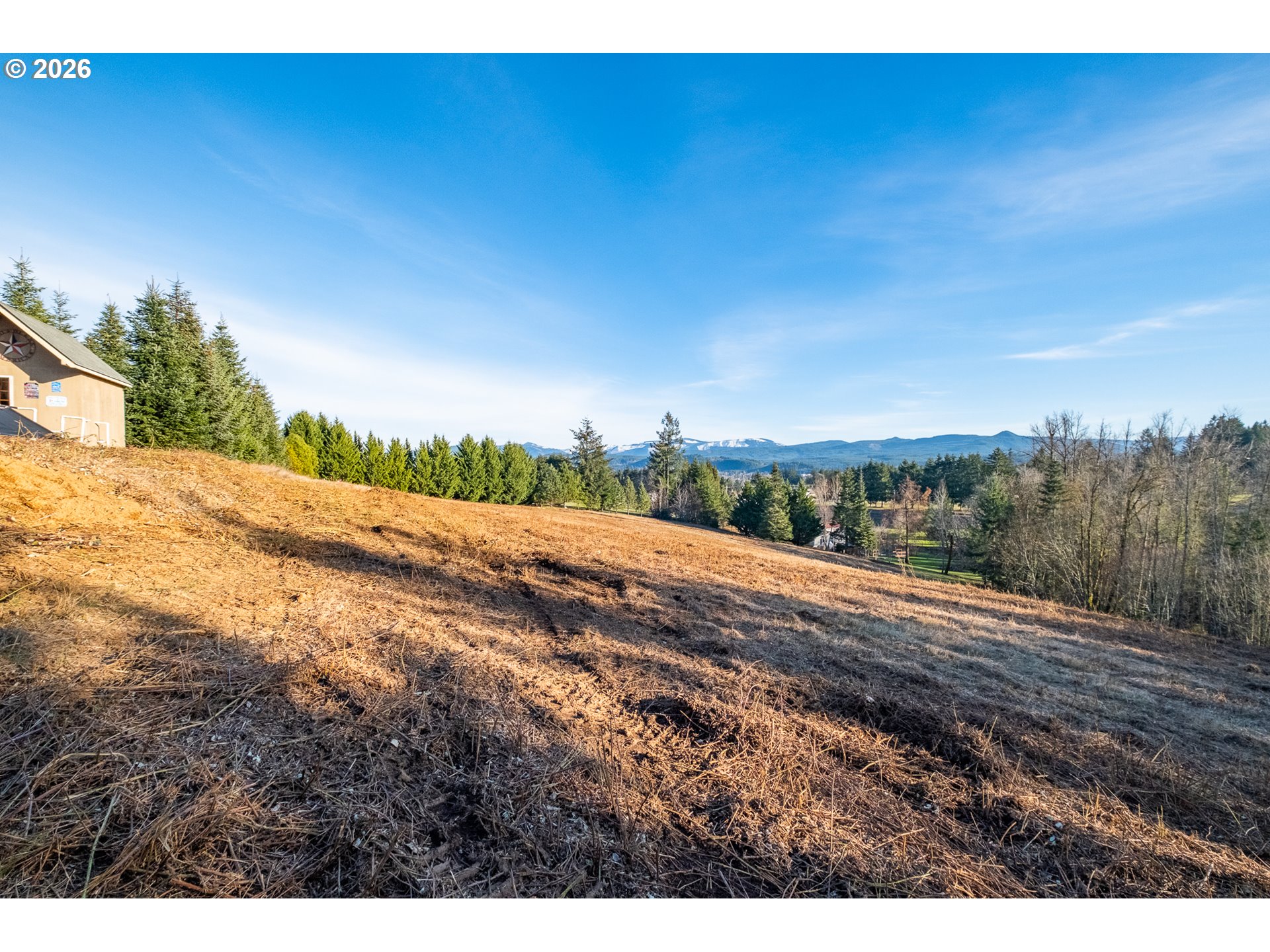 0 Tl 207) Ridgeview Lane Sweet Home, OR 97386 - Photo 15 of 16 a view of a rural road with plants