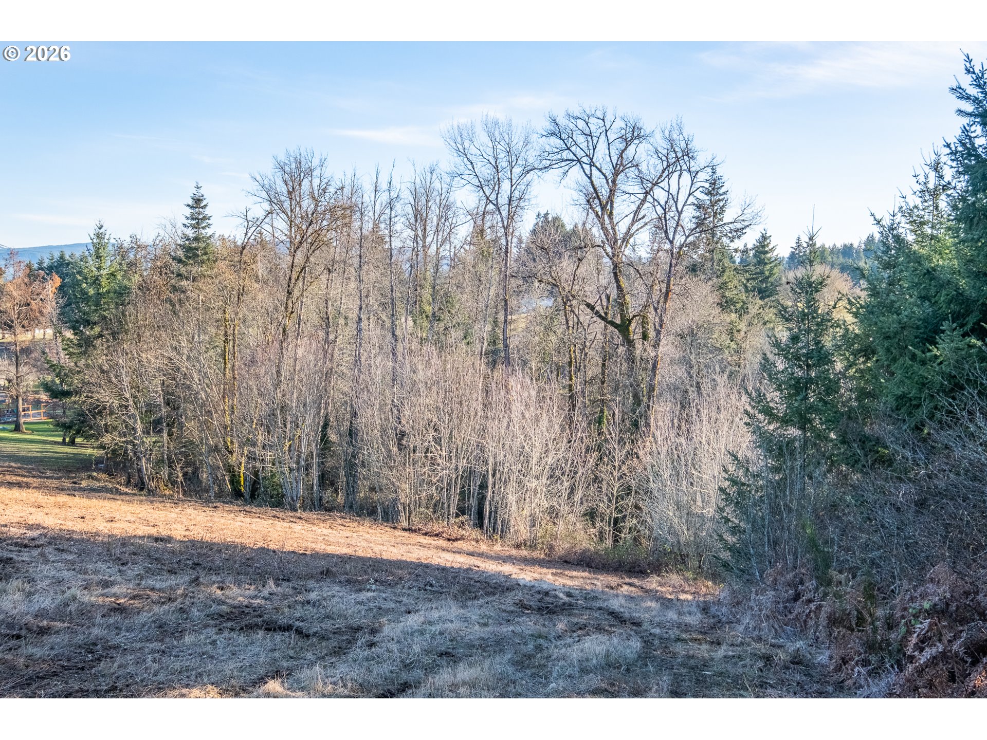 0 Tl 207) Ridgeview Lane Sweet Home, OR 97386 - Photo 16 of 16 a view of outdoor space and yard