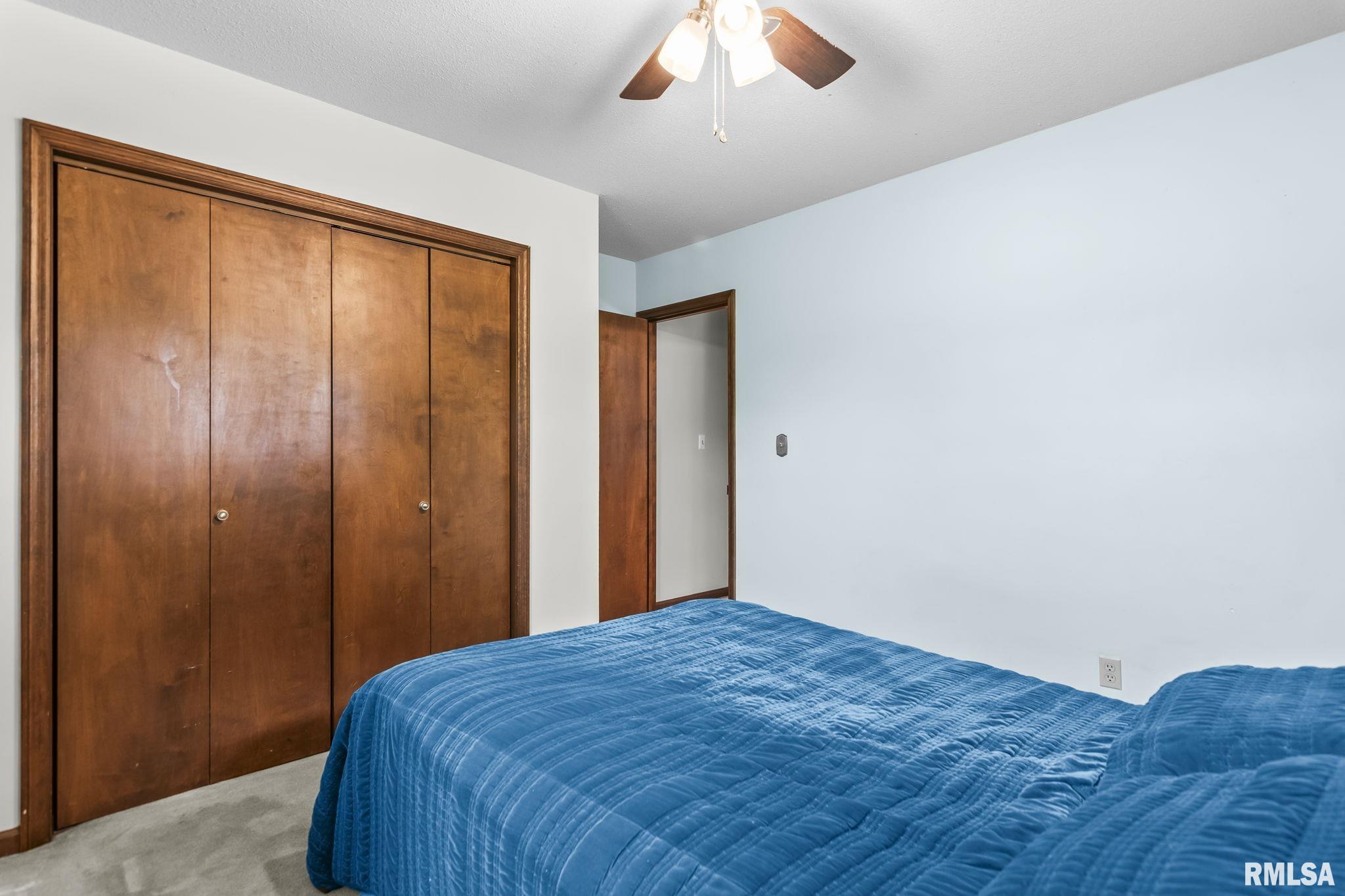 155 Exmore Drive Springfield, IL 62704 - Photo 29 of 47