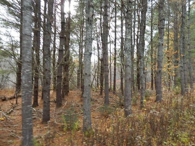 Lot 13-g West Bay Road Prospect Harbor, ME 04669 - Photo 17 of 20 Photo