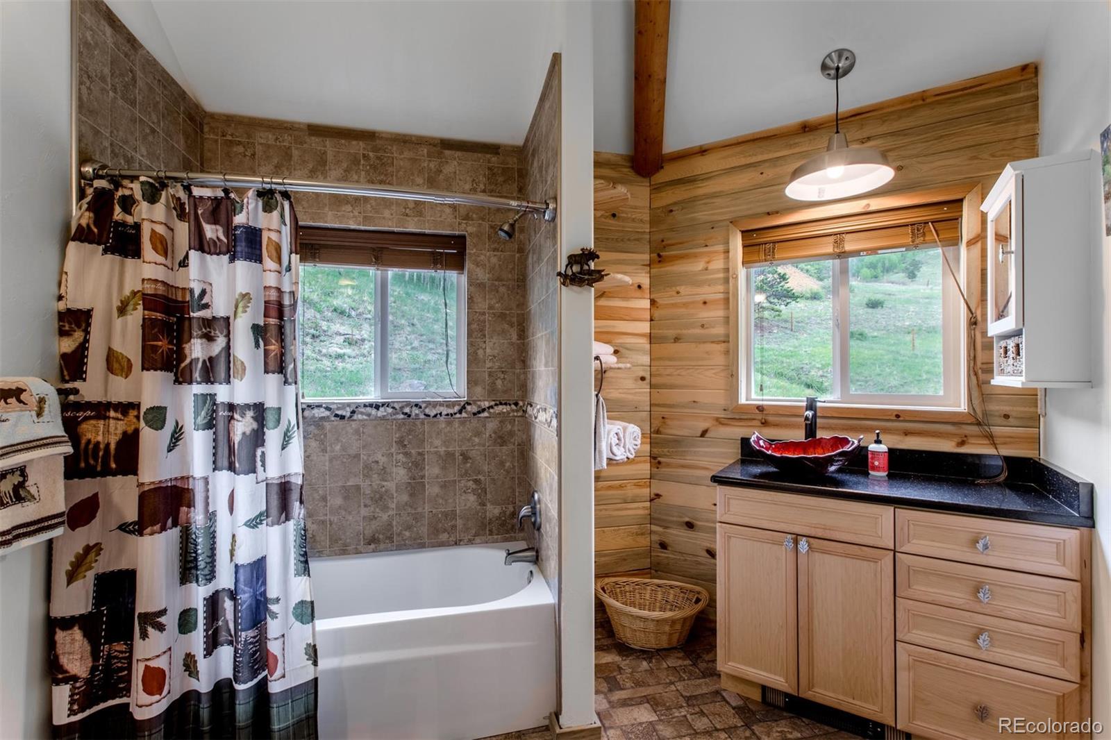 481 Red Tail Ridge Road Idaho Springs, CO 80452 - Photo 19 of 38 Gallery Image 19