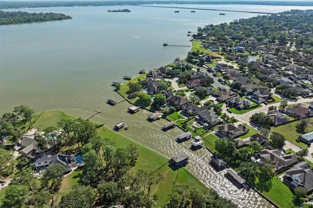 a picture of flowers