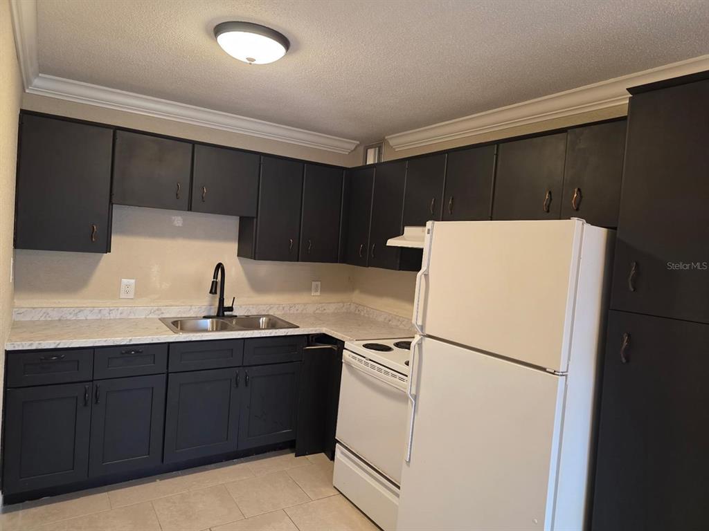 8450 112th Street North, Unit 102 Seminole, FL 33772 - Photo 13 of 80 a kitchen with a sink a refrigerator and a stove top oven