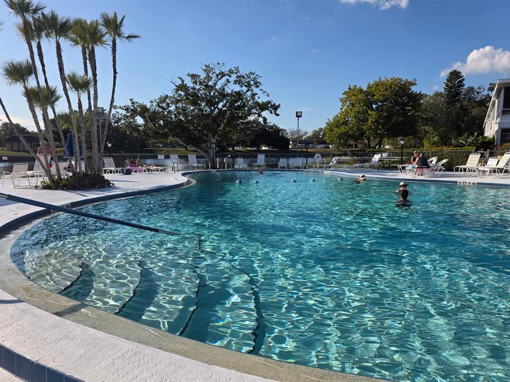 8450 112th Street North, Unit 102 Seminole, FL 33772 - Photo 50 of 80 a view of a garden