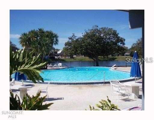 8450 112th Street North, Unit 102 Seminole, FL 33772 - Photo 53 of 80 a view of a yard with a tree