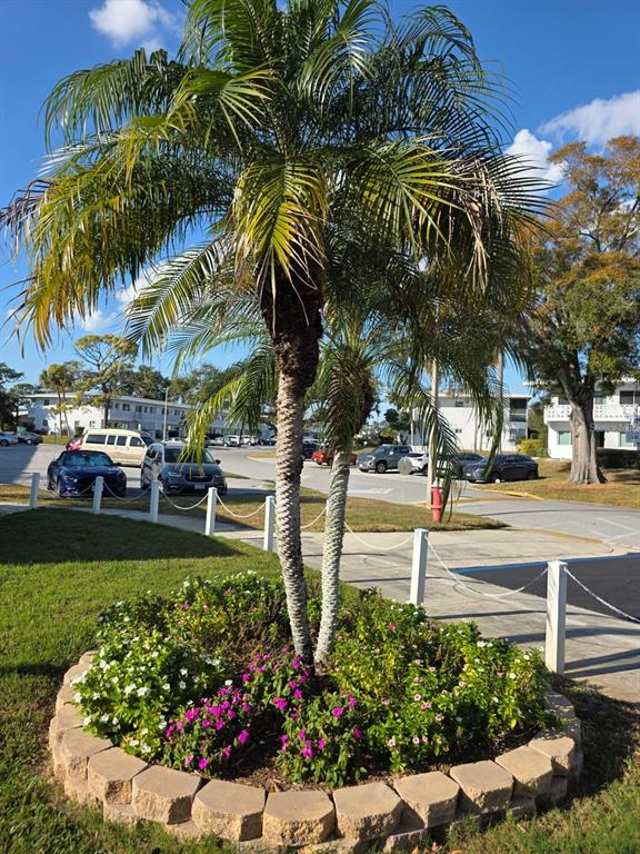 8450 112th Street North, Unit 102 Seminole, FL 33772 - Photo 71 of 80