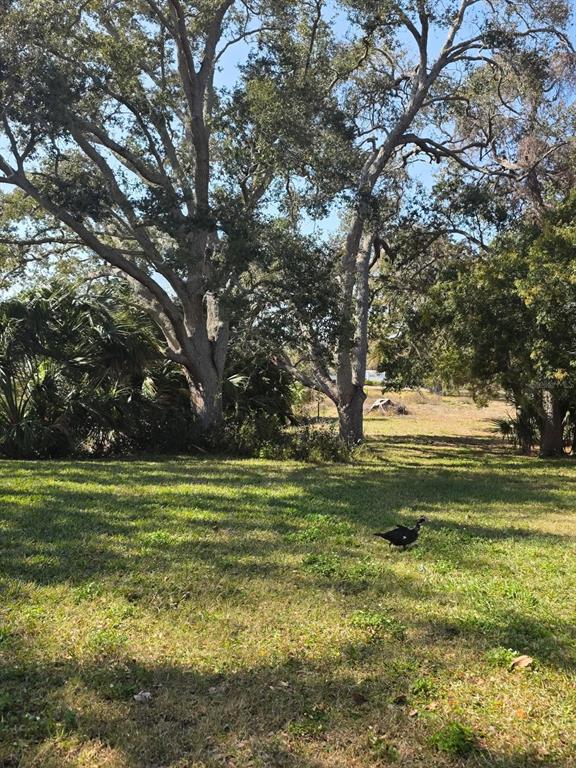 8450 112th Street North, Unit 102 Seminole, FL 33772 - Photo 78 of 80 a view of a trees in a yard