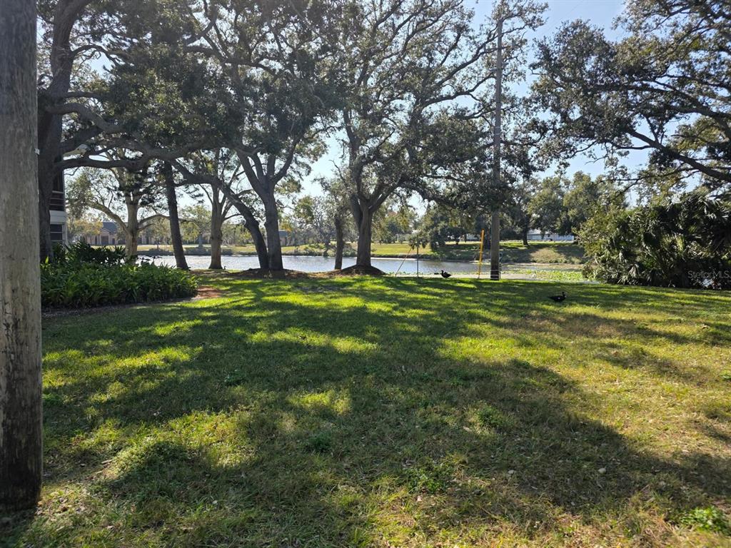 8450 112th Street North, Unit 102 Seminole, FL 33772 - Photo 79 of 80