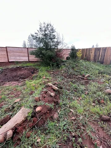 a view of a field with trees