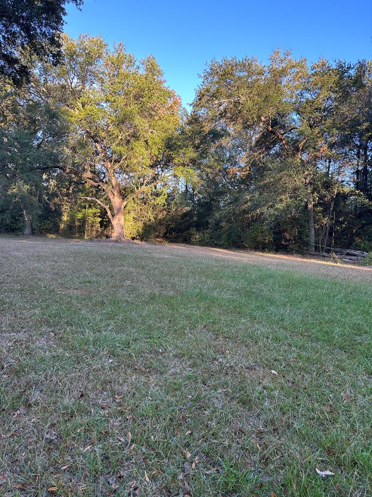 0 Hammock Road Carriere, MS 39426 - Photo 2 of 14 Gallery Image 2