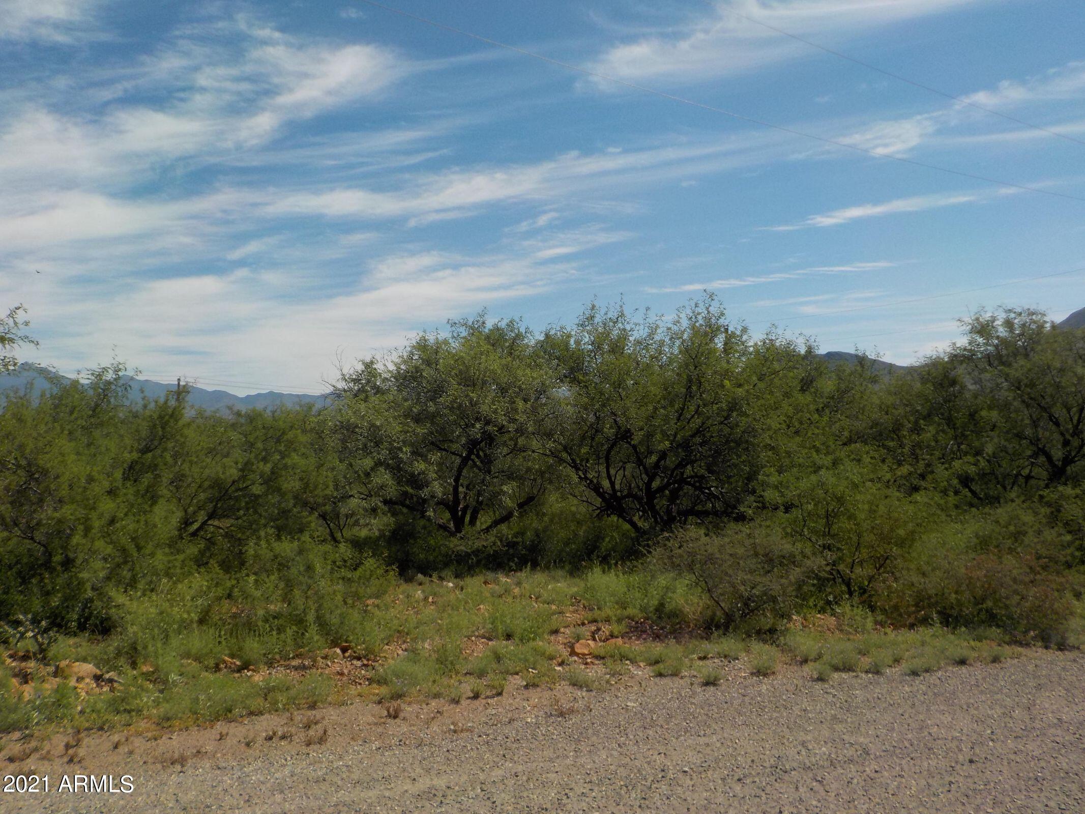1771 Ebano Court, Unit 29 Rio Rico, AZ 85648 - Photo 1 of 3 20201104040359178313000000-o