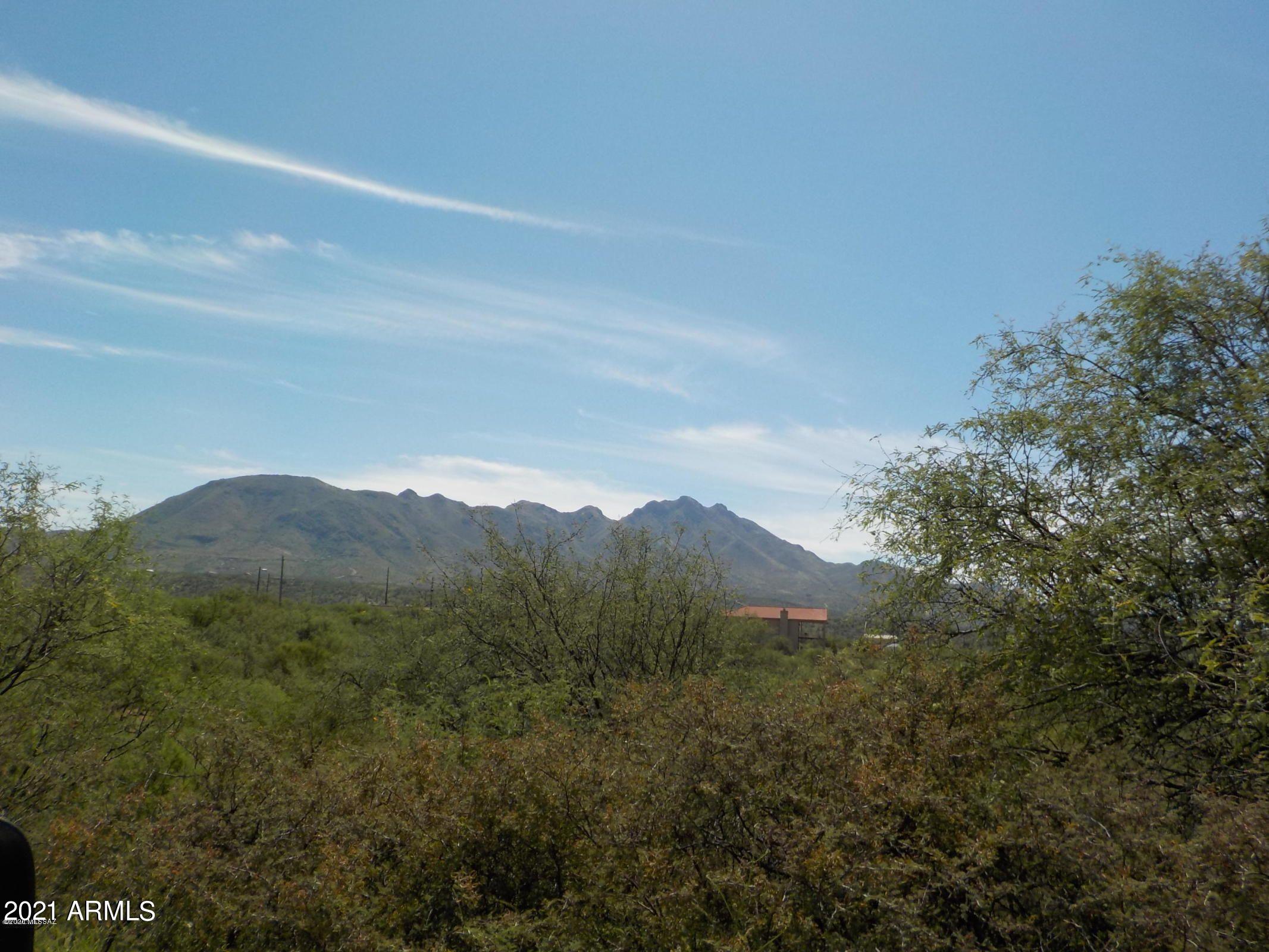 1771 Ebano Court, Unit 29 Rio Rico, AZ 85648 - Photo 3 of 3 20201104040403534109000000-o