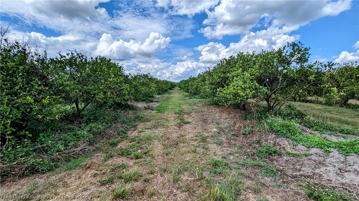 1648 Johns Road Wauchula, FL 33873 - Photo 11 of 33 Gallery Image 11
