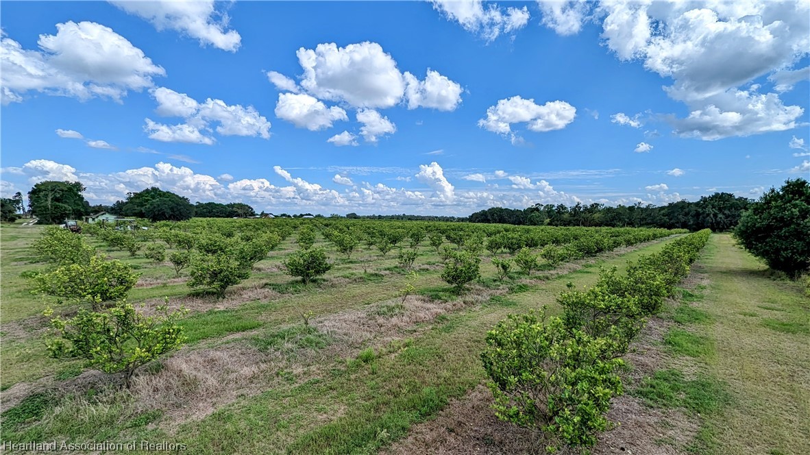 1648 Johns Road Wauchula, FL 33873 - Photo 12 of 33 Gallery Image 12
