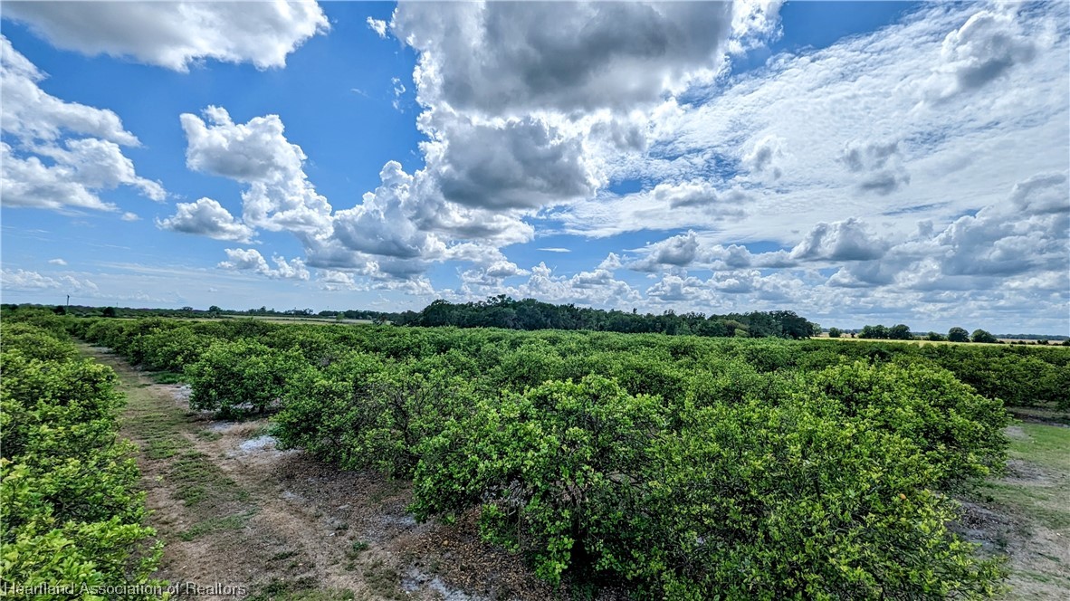 1648 Johns Road Wauchula, FL 33873 - Photo 13 of 33 Gallery Image 13