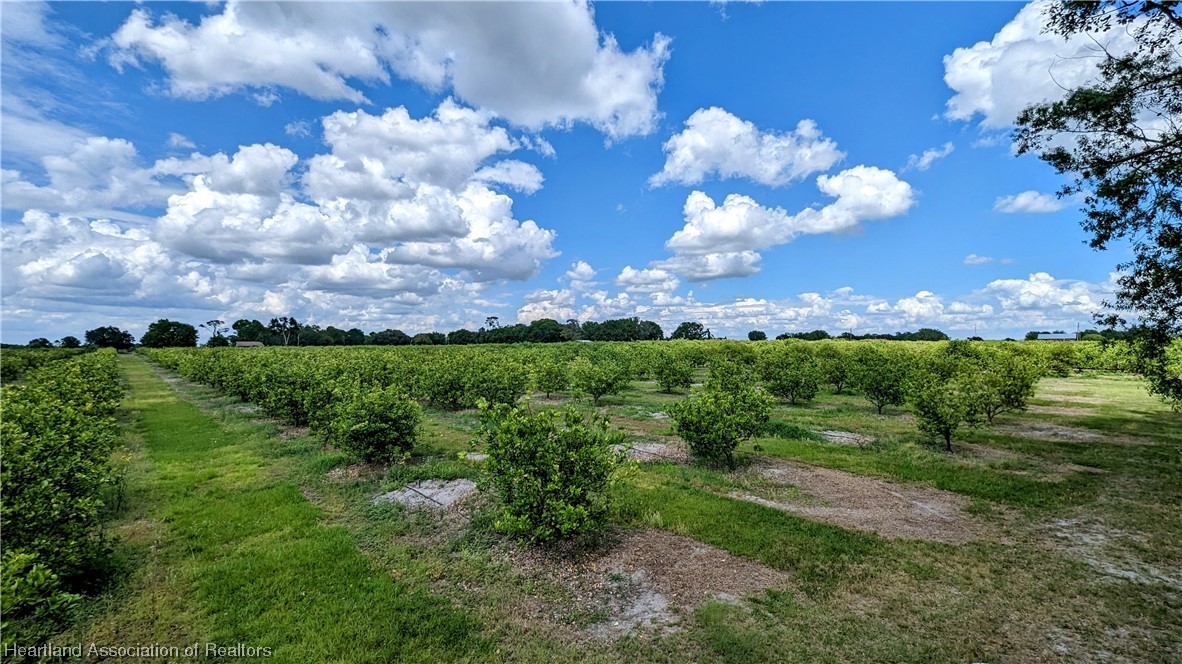 1648 Johns Road Wauchula, FL 33873 - Photo 14 of 33 Gallery Image 14