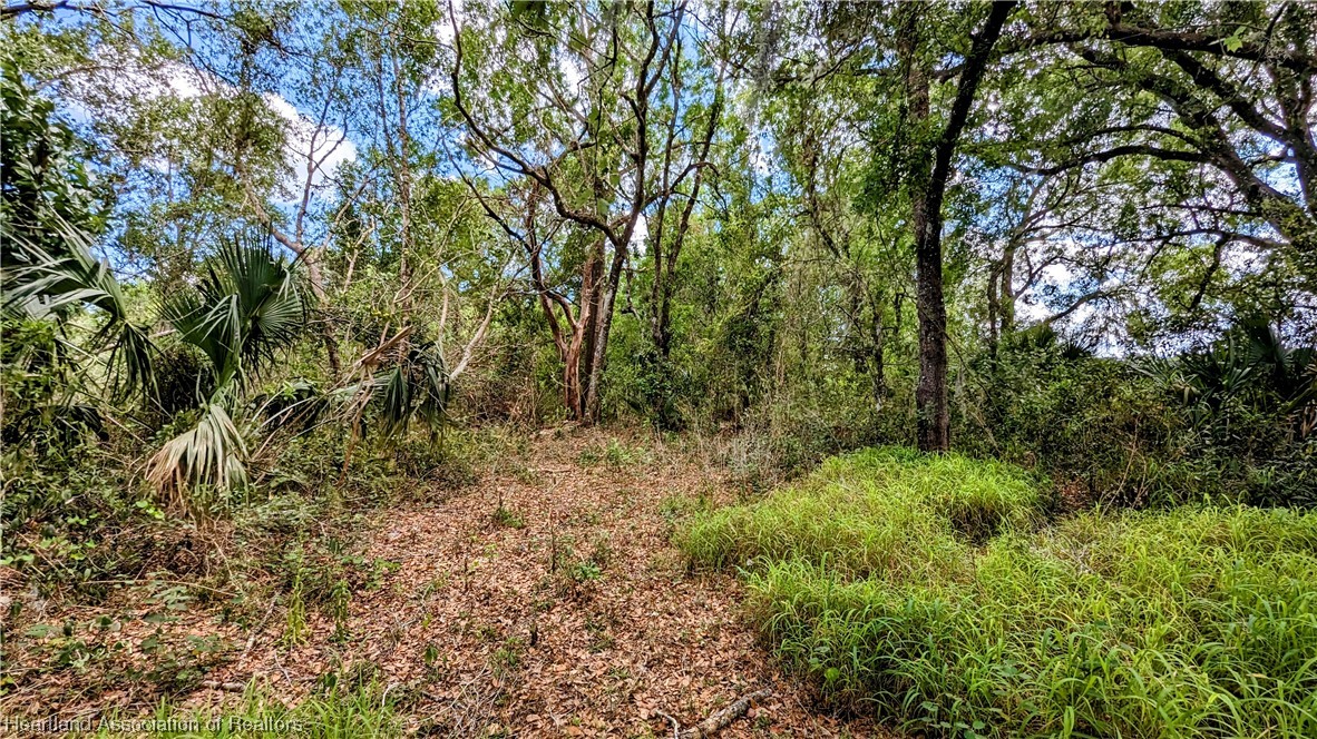 1648 Johns Road Wauchula, FL 33873 - Photo 15 of 33 Gallery Image 15