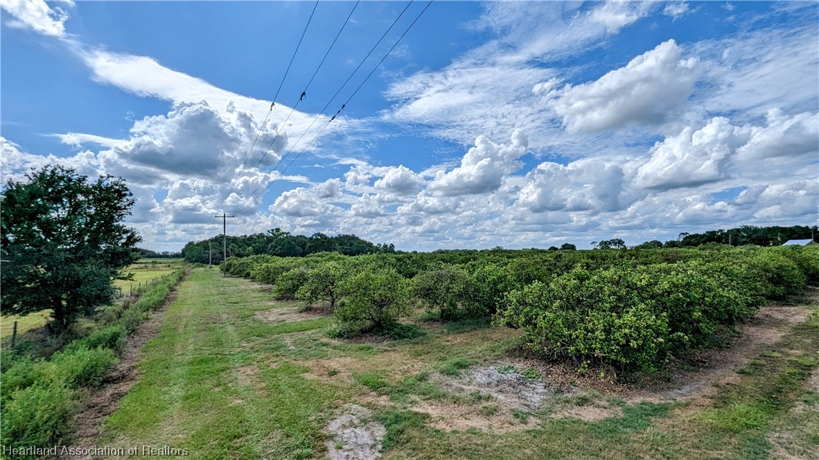1648 Johns Road Wauchula, FL 33873 - Photo 19 of 33 Gallery Image 19