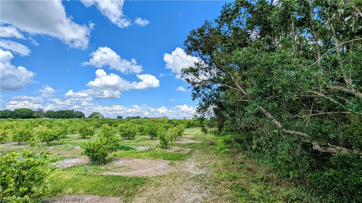 1648 Johns Road Wauchula, FL 33873 - Photo 20 of 33 Gallery Image 20