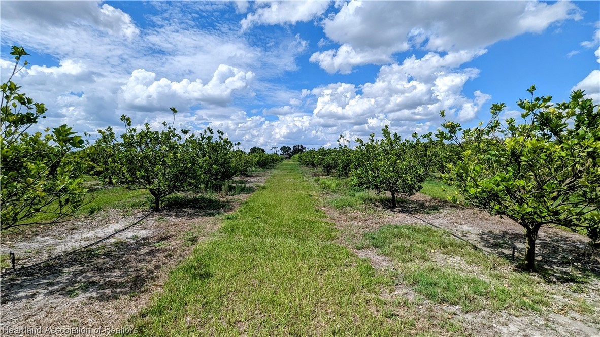 1648 Johns Road Wauchula, FL 33873 - Photo 21 of 33 Gallery Image 21