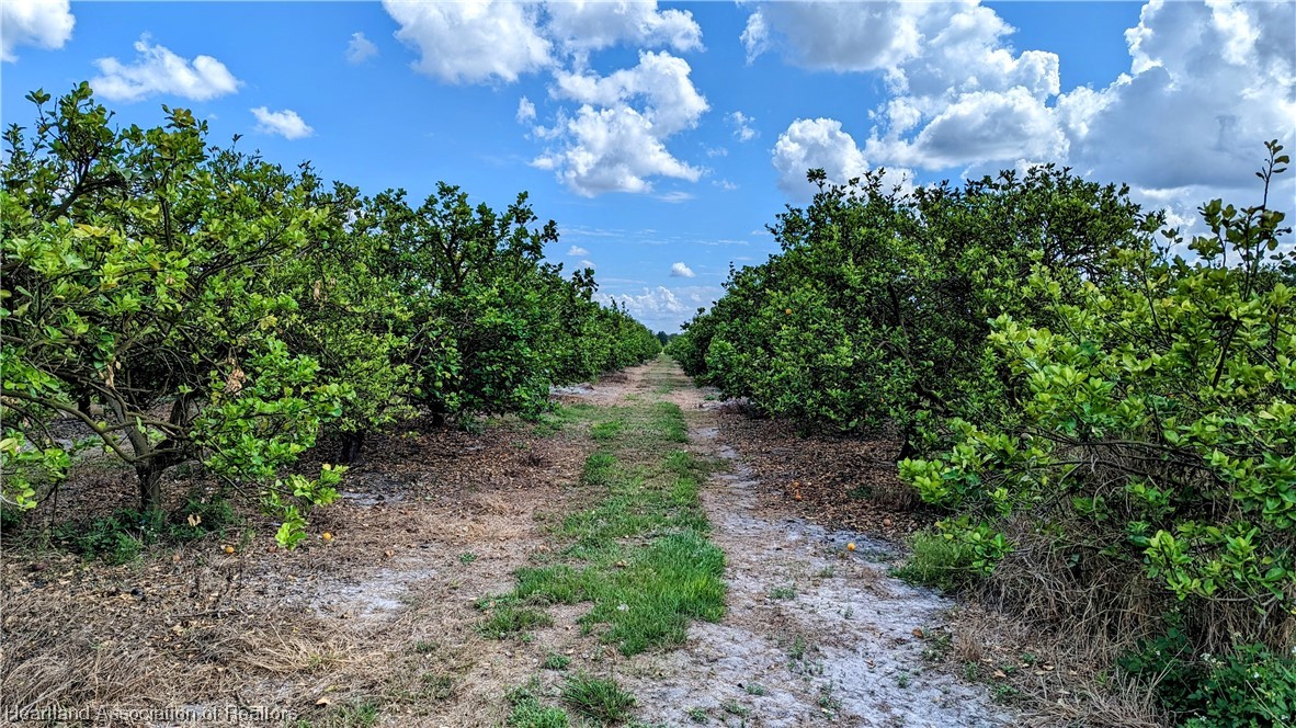 1648 Johns Road Wauchula, FL 33873 - Photo 24 of 33 Gallery Image 24