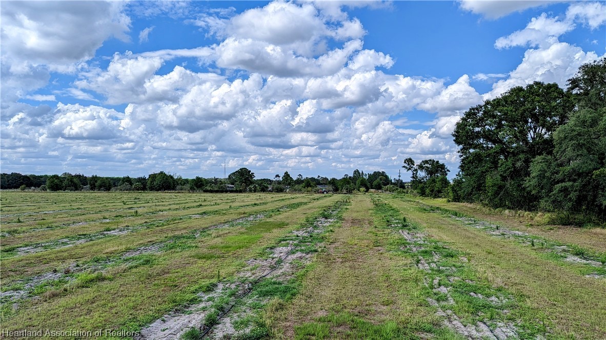 1648 Johns Road Wauchula, FL 33873 - Photo 28 of 33 Gallery Image 28