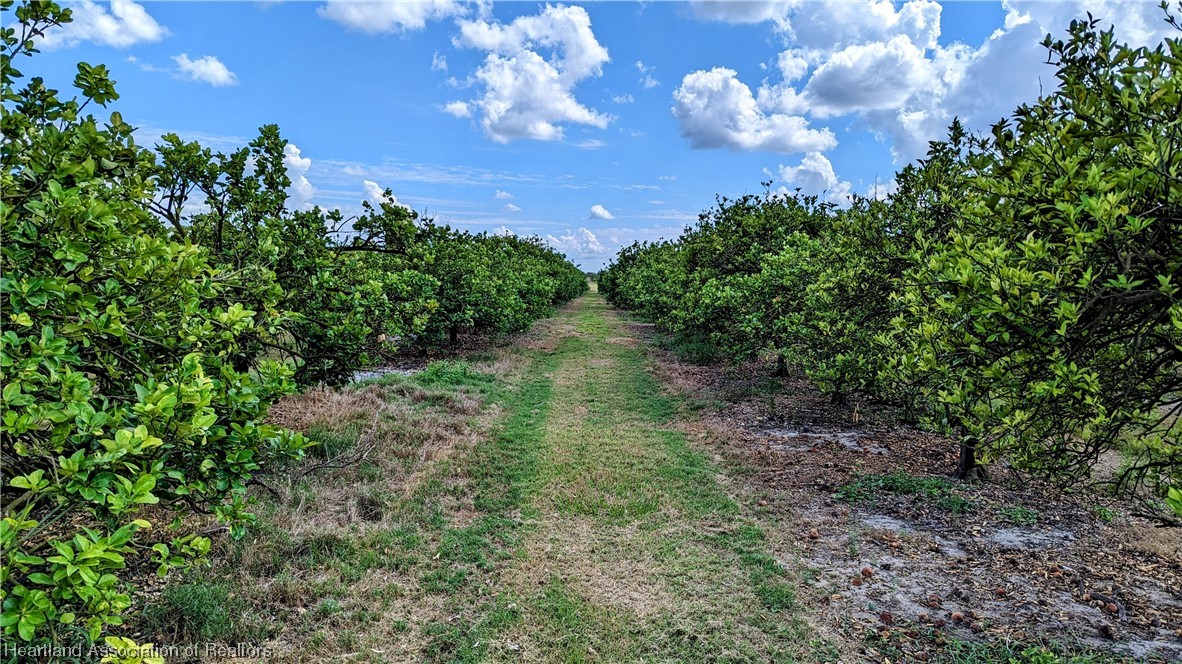 1648 Johns Road Wauchula, FL 33873 - Photo 29 of 33 Gallery Image 29