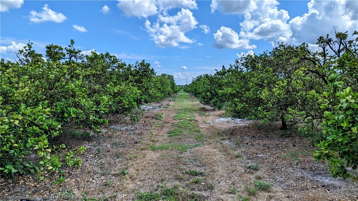1648 Johns Road Wauchula, FL 33873 - Photo 31 of 33 Gallery Image 31