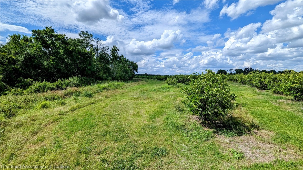 1648 Johns Road Wauchula, FL 33873 - Photo 7 of 33 Gallery Image 7