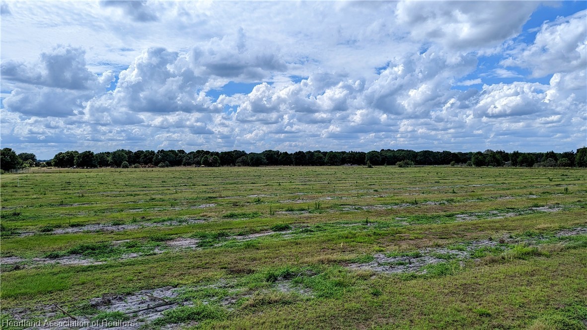 1648 Johns Road Wauchula, FL 33873 - Photo 9 of 33 Gallery Image 9