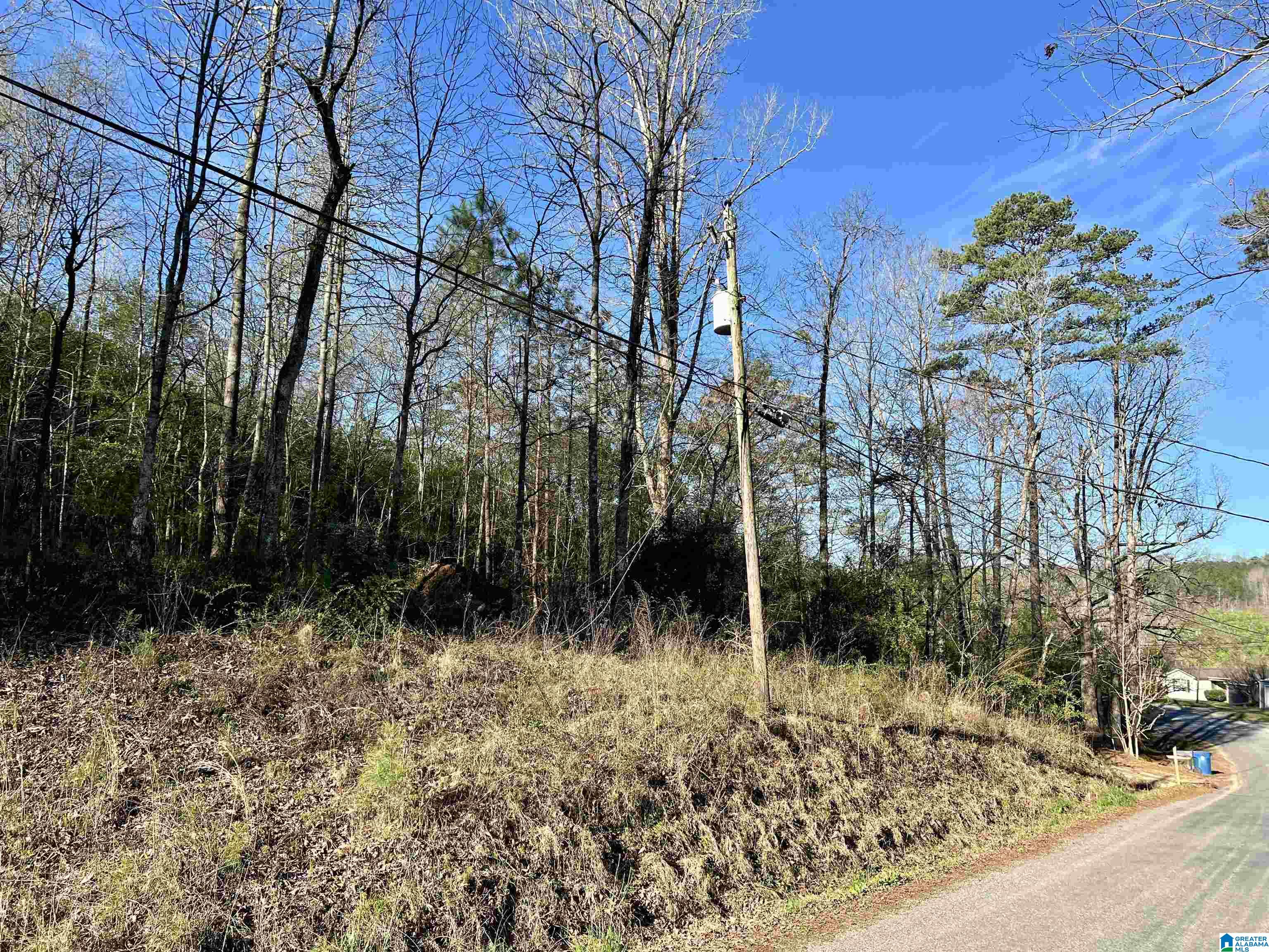 0 Lakeshore Lane, Unit 3 Oneonta, AL 35121 - Photo 10 of 21