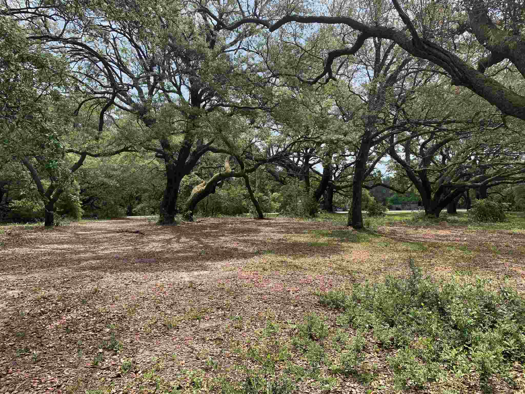 9587 John Hall Lane Foley, AL 36535 - Photo 2 of 19 Land View
