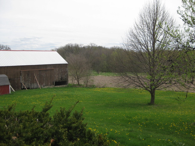 15351 Mill Road Capron, IL 61012 - Photo 16 of 20 a view of a backyard