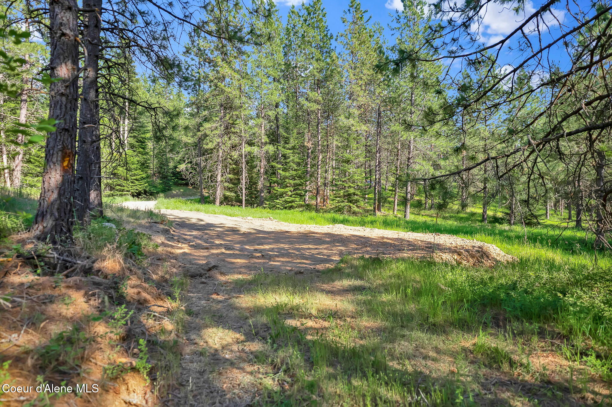 Nka Nka Finnegan Road Coeur D'Alene, ID 83814 - Photo 9 of 33 9-web-or-mls-SkyLight - Devon-09 (2)