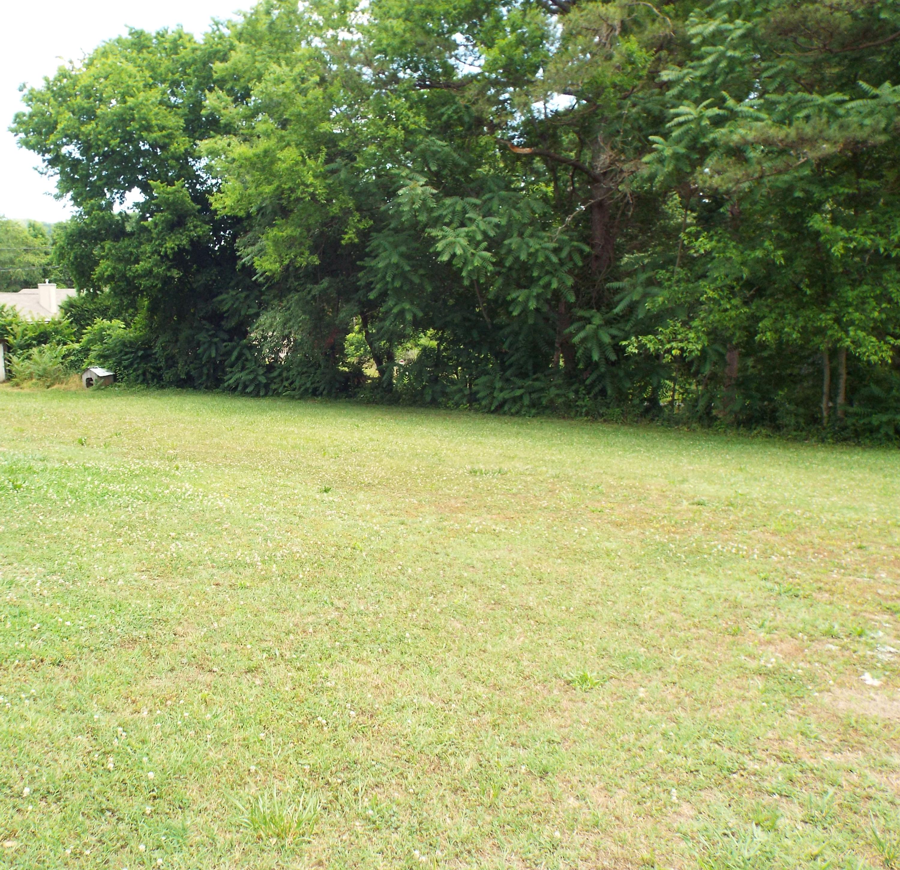 3610 Sams Road Rockford, TN 37853 - Photo 5 of 20 LARGE .57 ACRE YARD