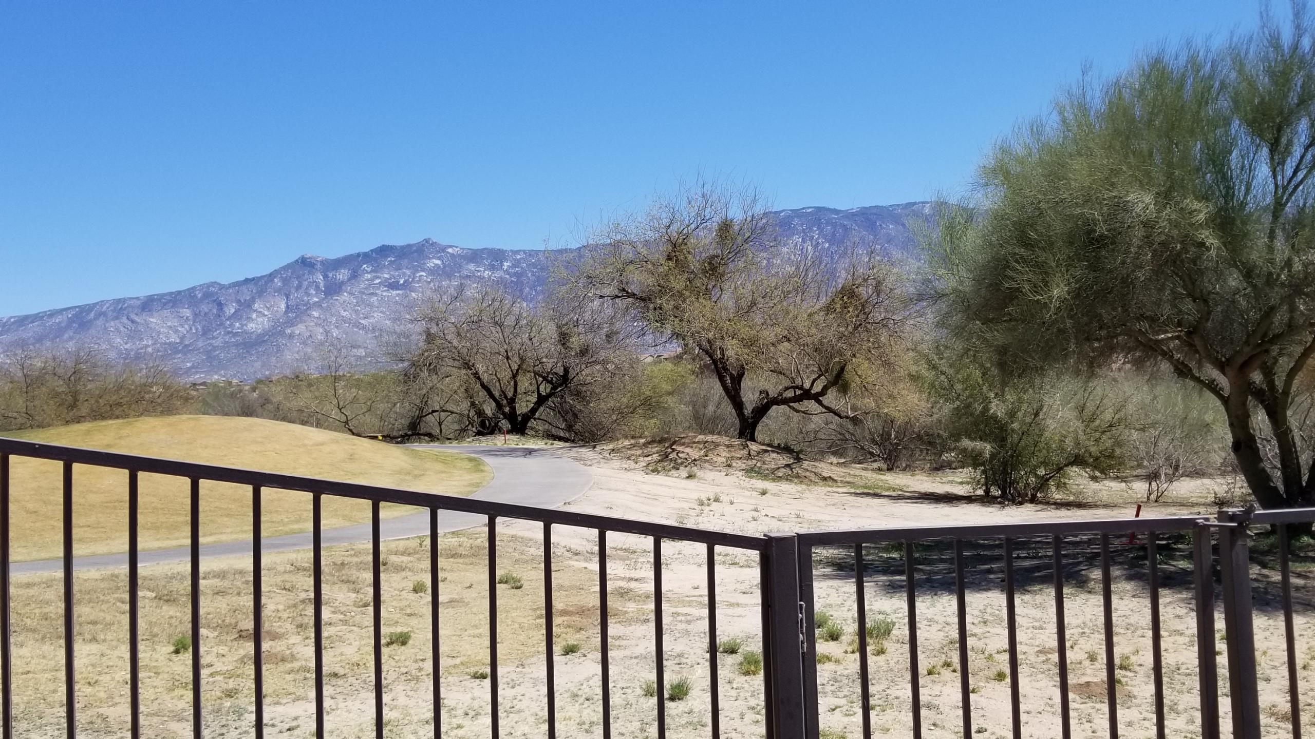 13550 North Pima Spring Way Oro Valley, AZ 85755 - Photo 4 of 42