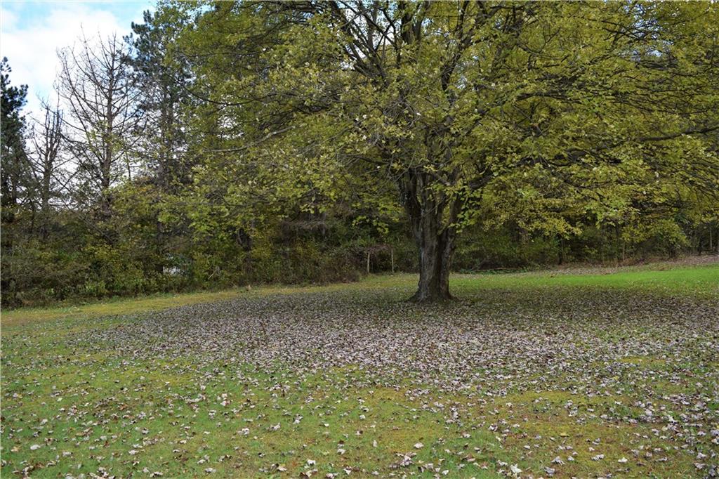 434 Gas Valley Road Georgetown, PA 15043 - Photo 6 of 25 Watch the seasons change in your park- like yard